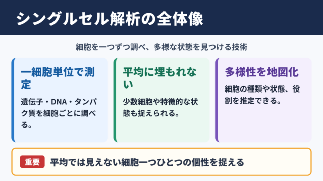 シングルセル解析の意味と全体像