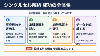 シングルセル解析の全体像