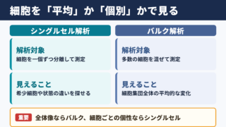シングルセル解析とバルク解析の基本的な違い