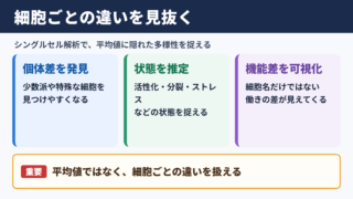 シングルセル解析で明らかになる細胞の多様性