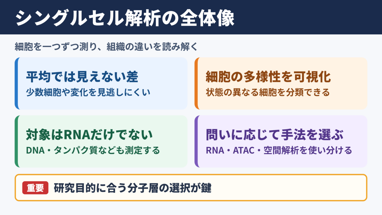 シングルセル解析の全体像