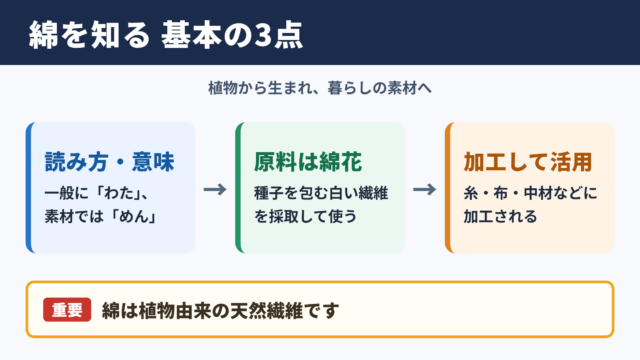 綿の意味と基本知識