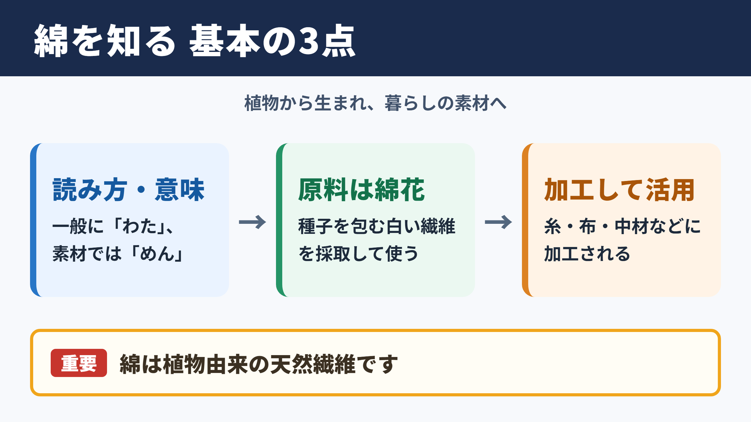 綿の意味と基本知識