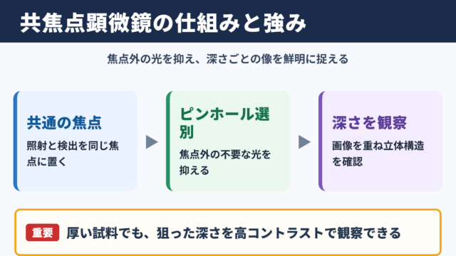 共焦点顕微鏡の概要
