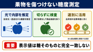 光センサー糖度計の意味と測定できる内容