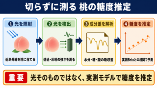 桃の糖度測定における光センサーの役割