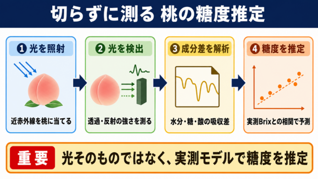 桃の糖度測定における光センサーの役割