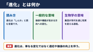 進化の意味と読み方