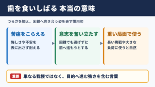 歯を食いしばるの意味と基本の使い方