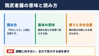 我武者羅の意味と読み方