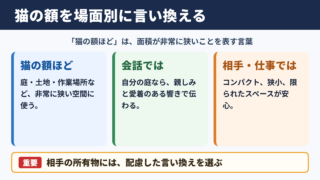 猫の額の言い換え一覧表をシーン別に解説