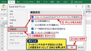 エクセルの＋マークを表示する方法【オートフィルハンドルの設定】 - オプション画面の確認