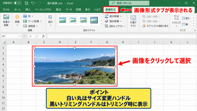 エクセルでトリミングを表示して実行する手順 - 画像を選択する操作