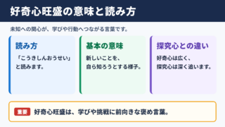 好奇心旺盛の意味と読み方
